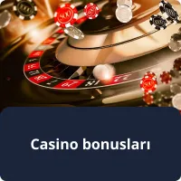 Casino bonusları